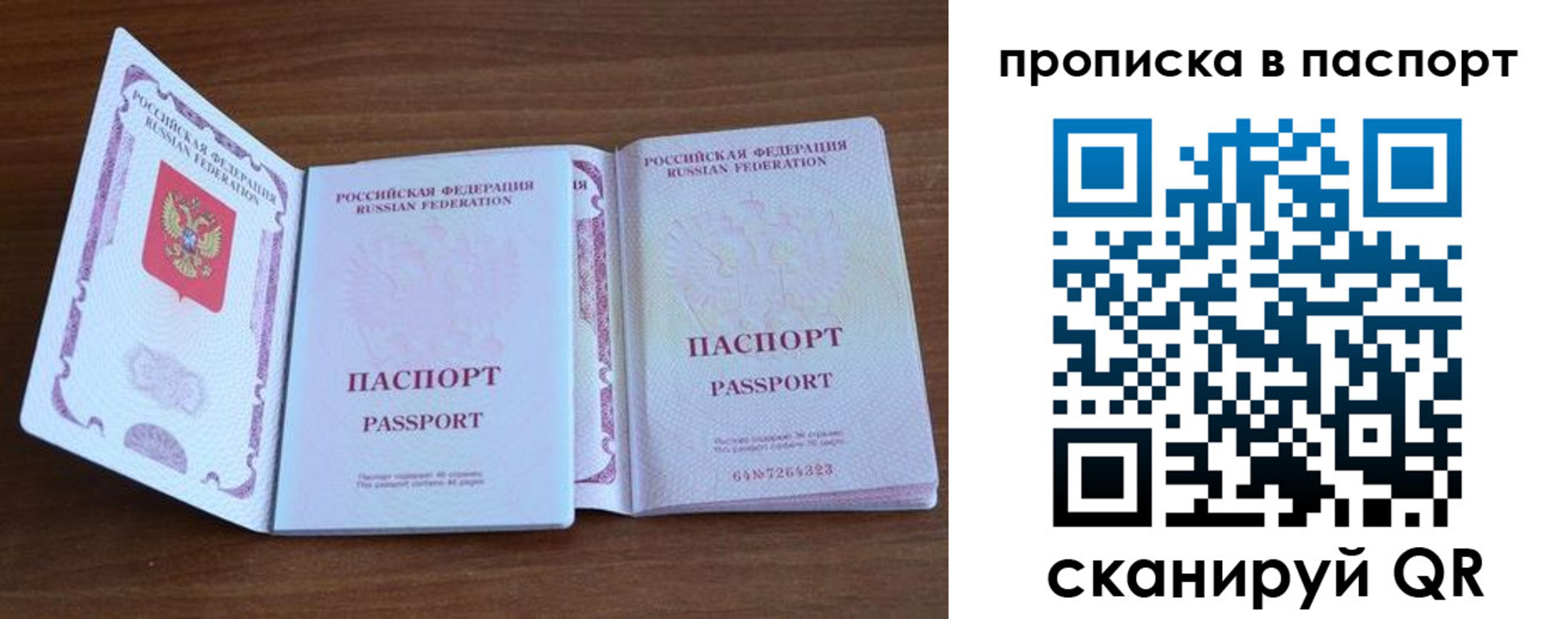 временная регистрация поиск в ЕАО